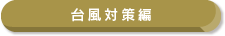 䕗΍