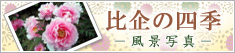 ���̎l�G