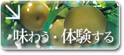 ���키�E�̌�����